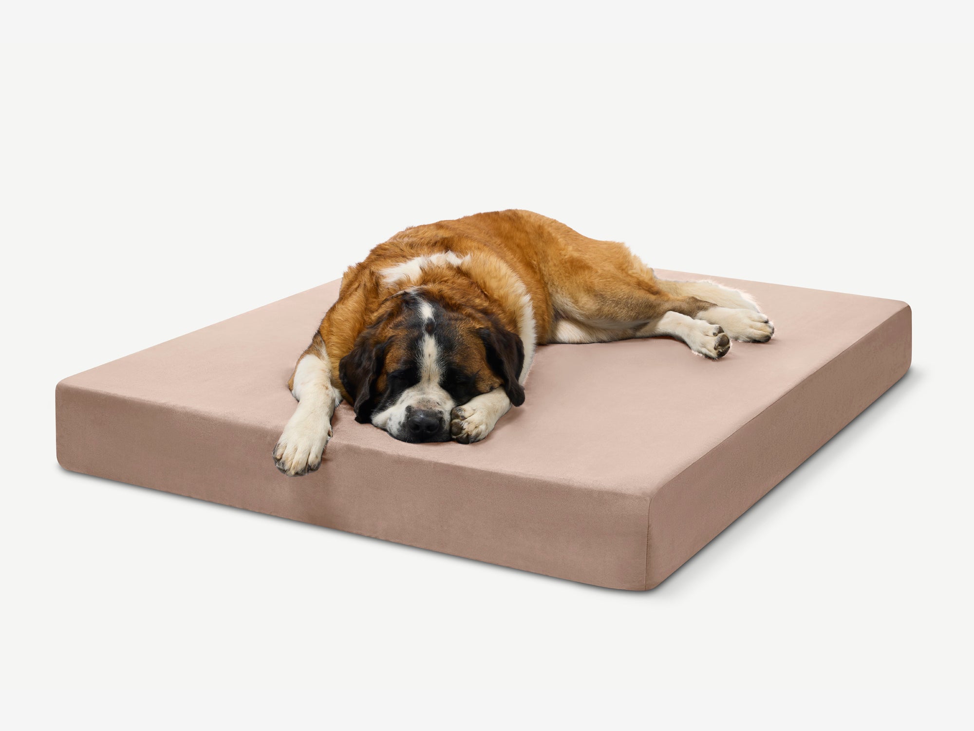 Original Orthopedic Dog Bed