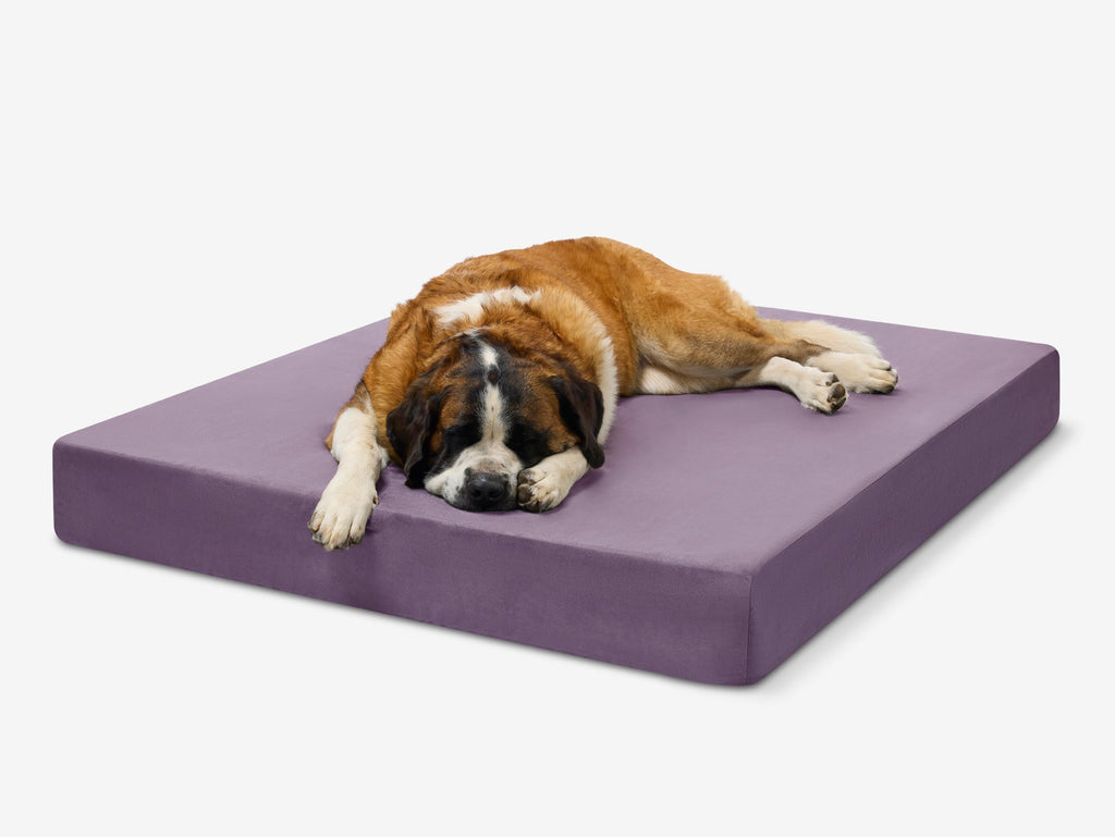 Original Orthopedic Dog Bed