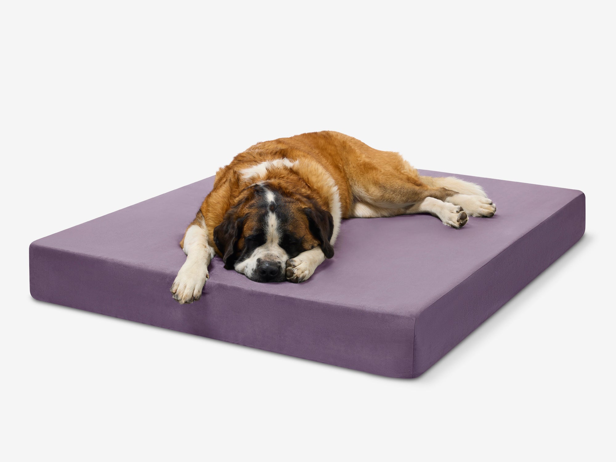 Original Orthopedic Dog Bed