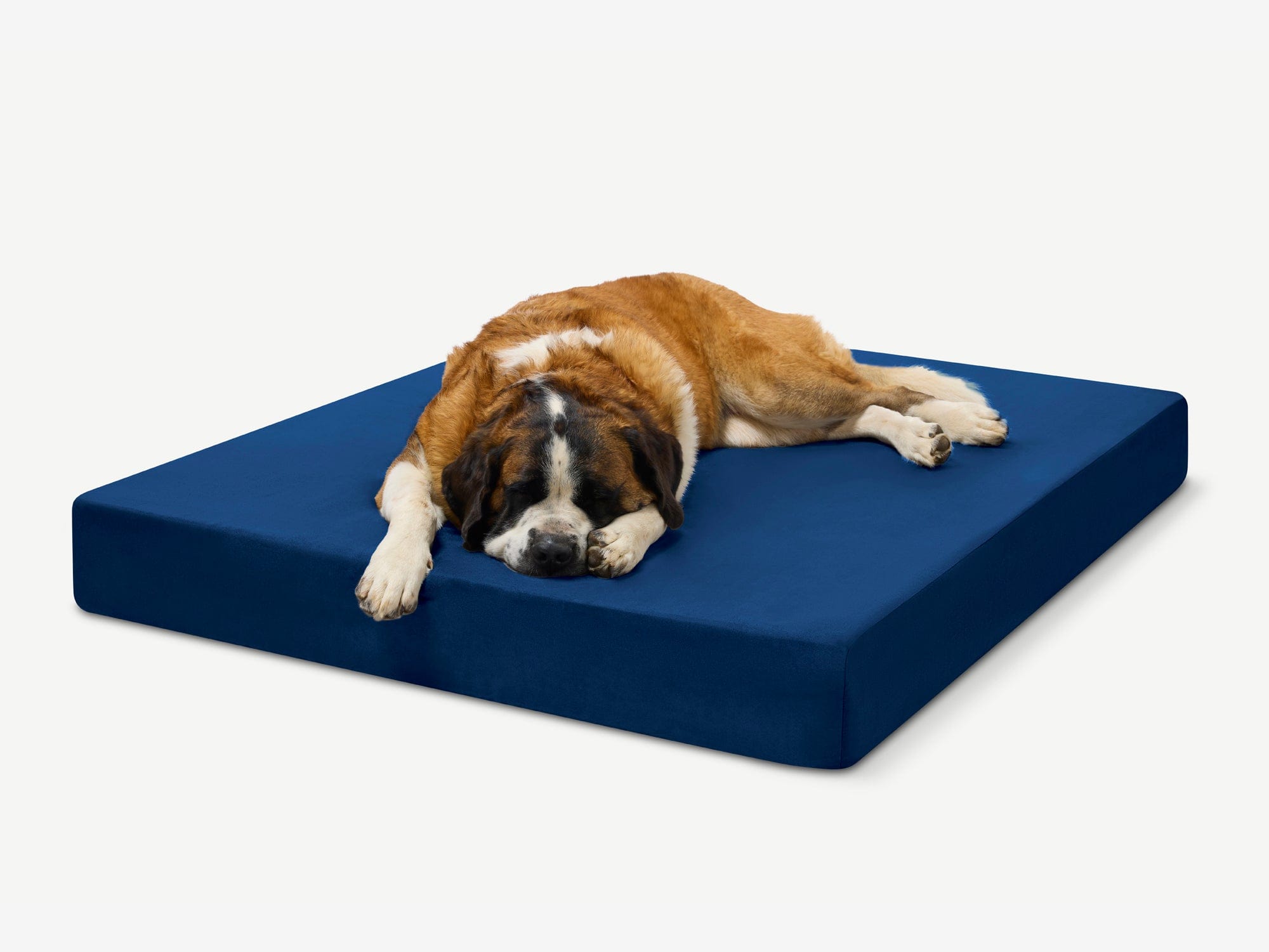 Original Orthopedic Dog Bed