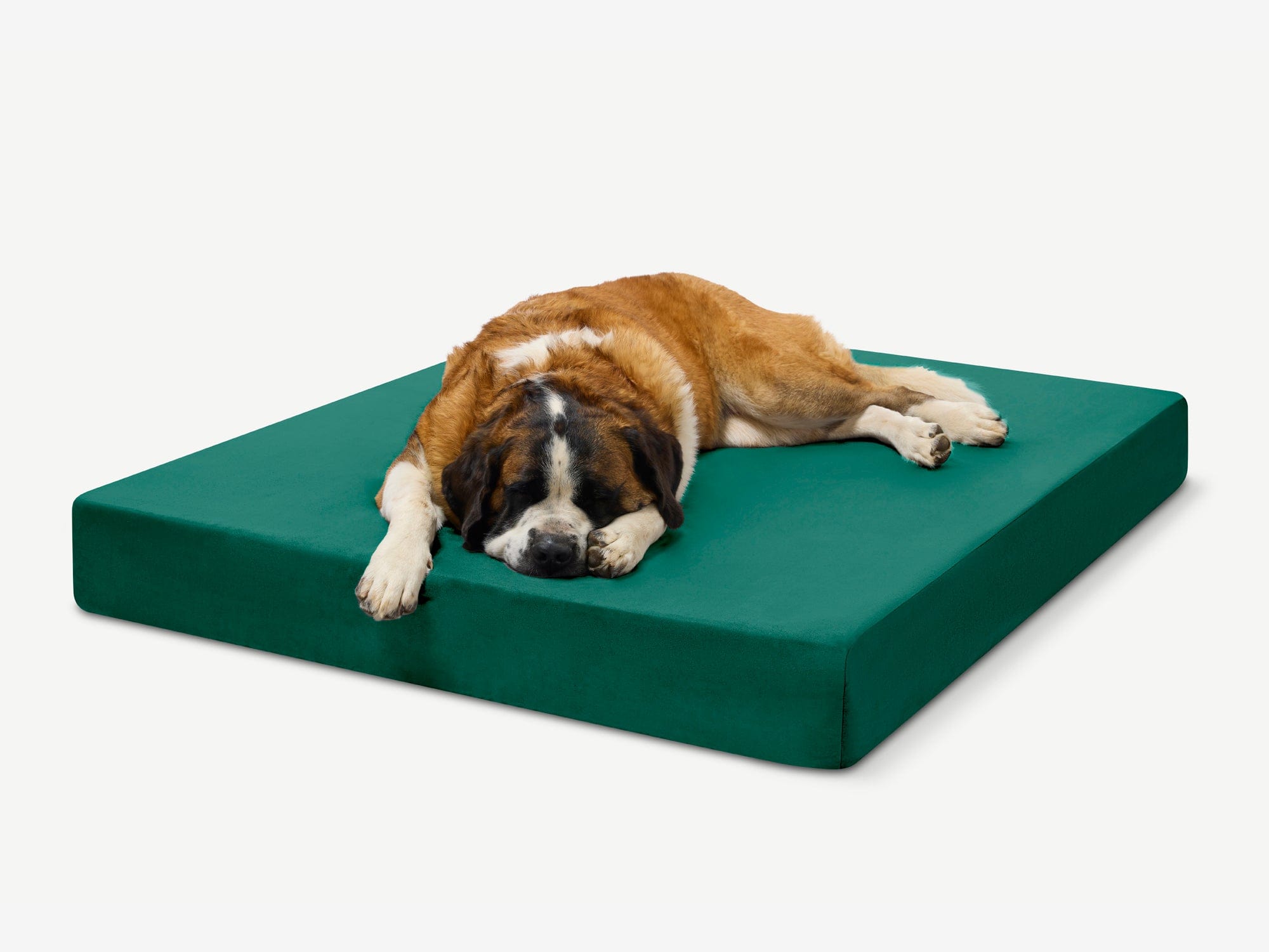 Original Orthopedic Dog Bed