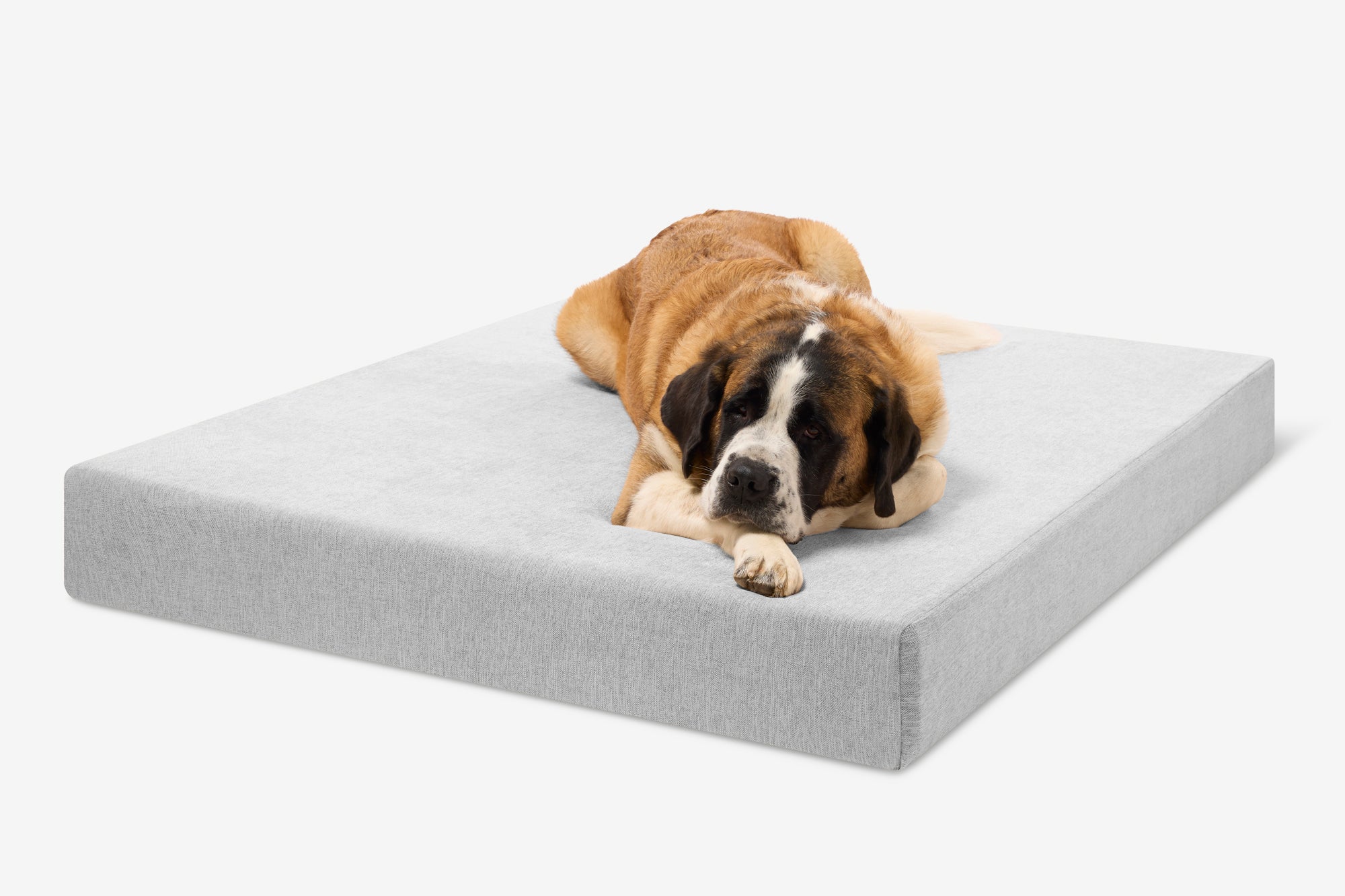 Original Orthopedic Dog Bed
