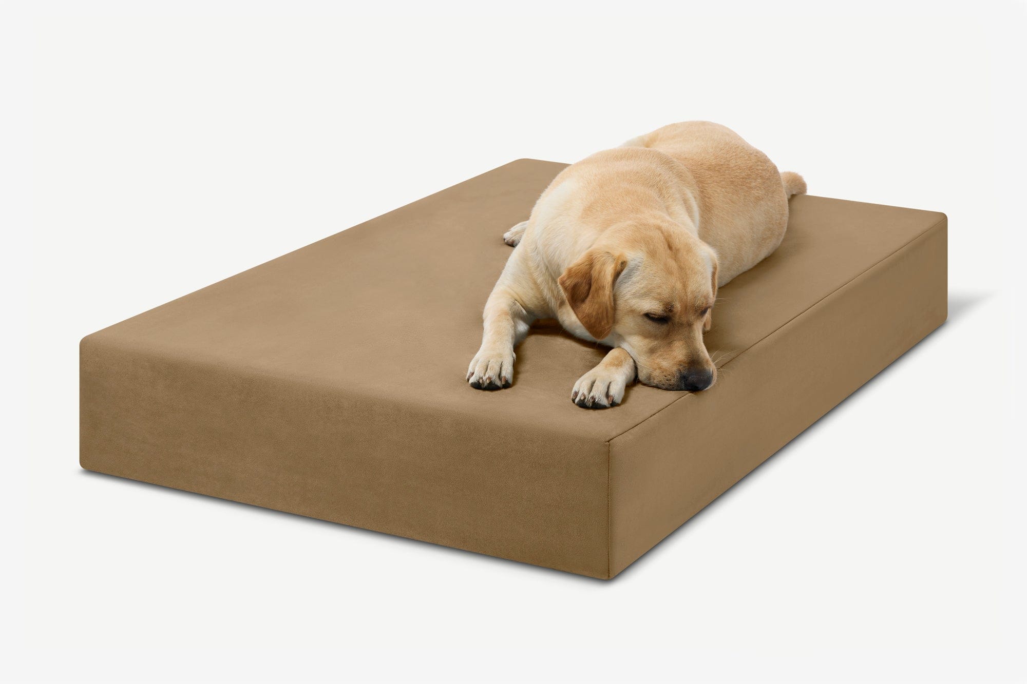 Original Orthopedic Dog Bed