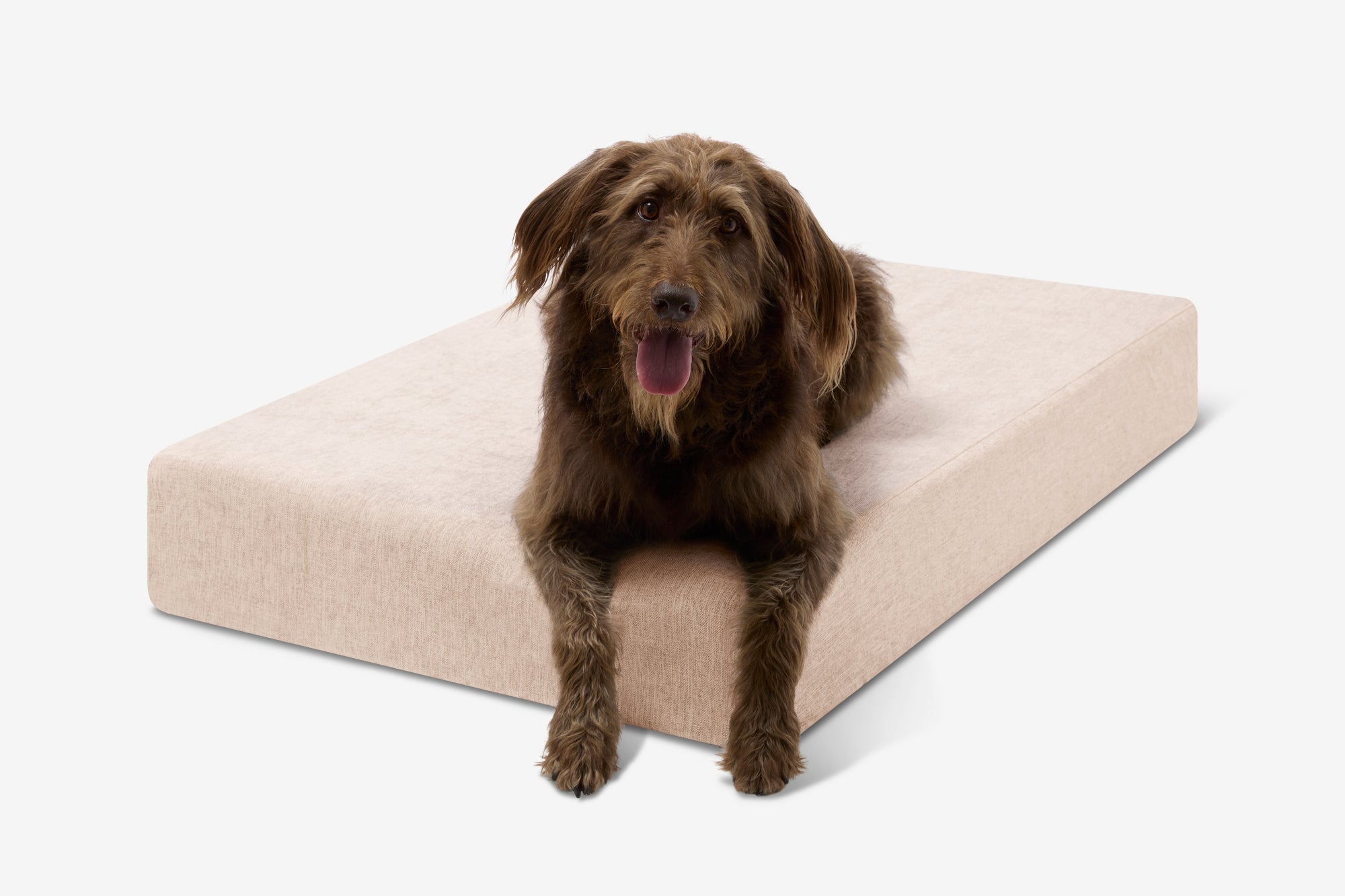 Original Orthopedic Dog Bed