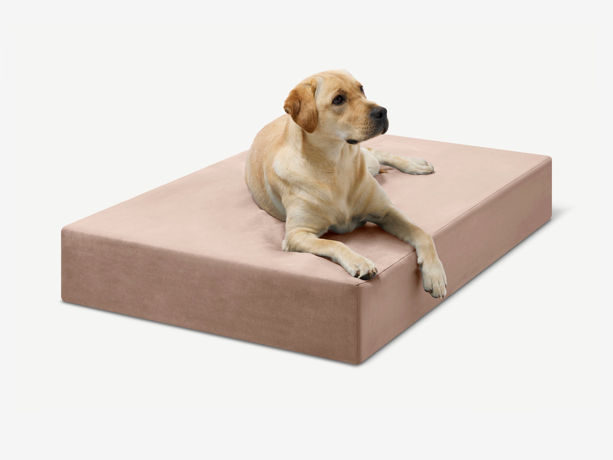 Original Orthopedic Dog Bed
