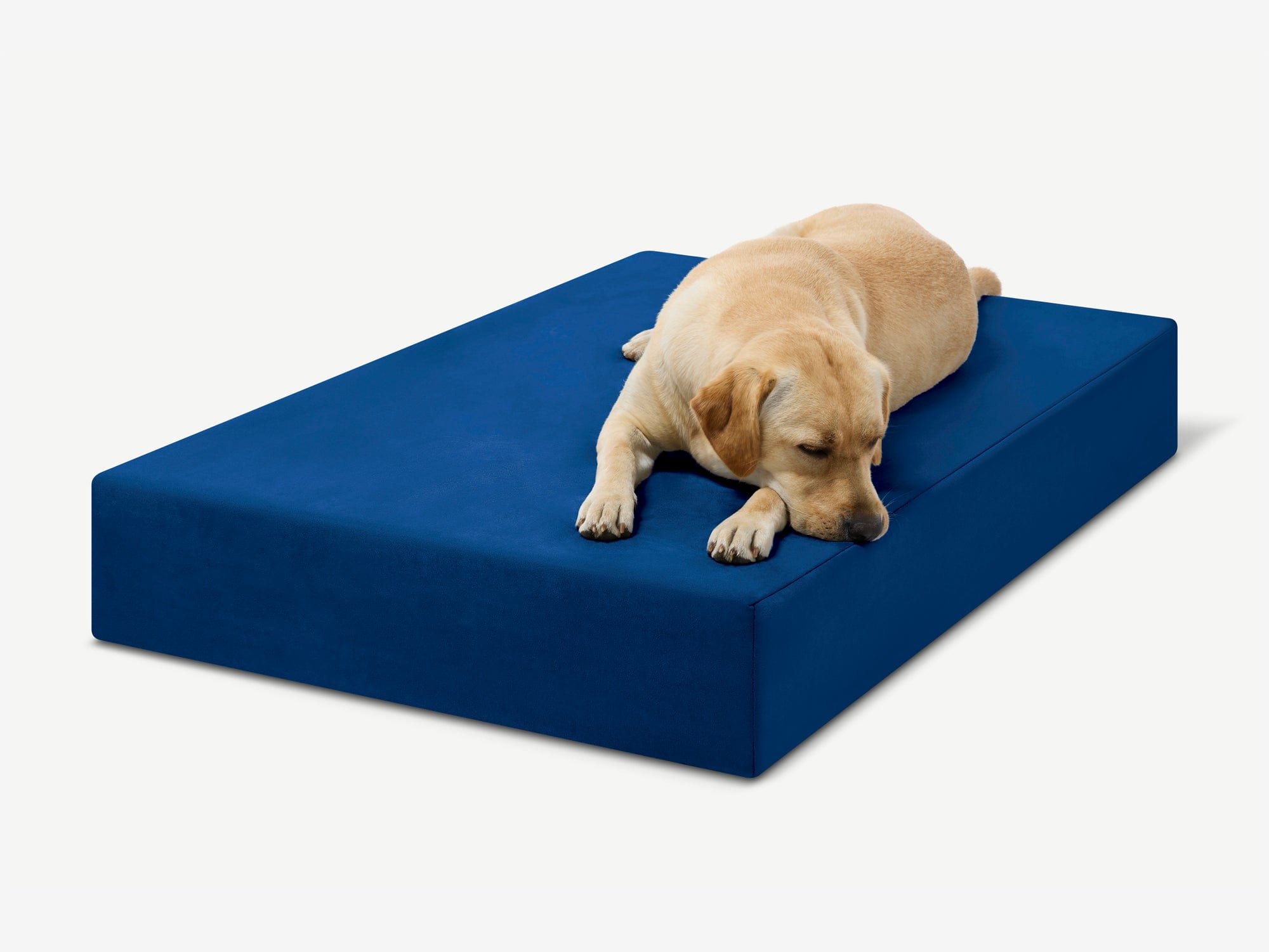 Original Orthopedic Dog Bed