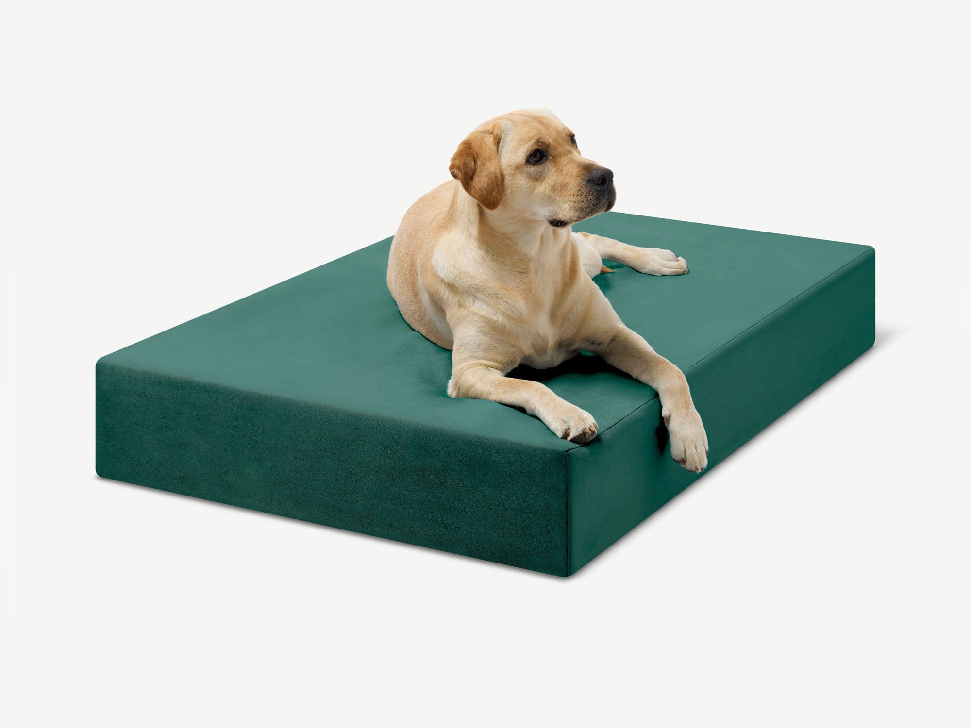 Original Orthopedic Dog Bed