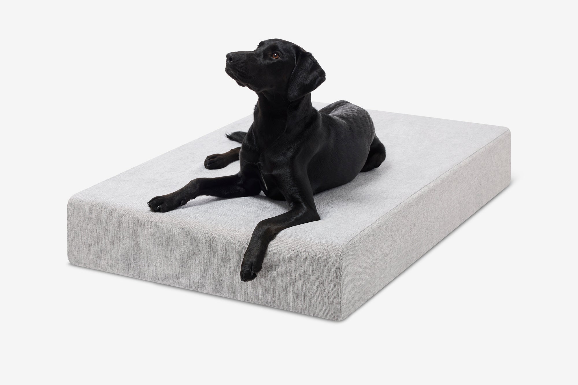 Original Orthopedic Dog Bed