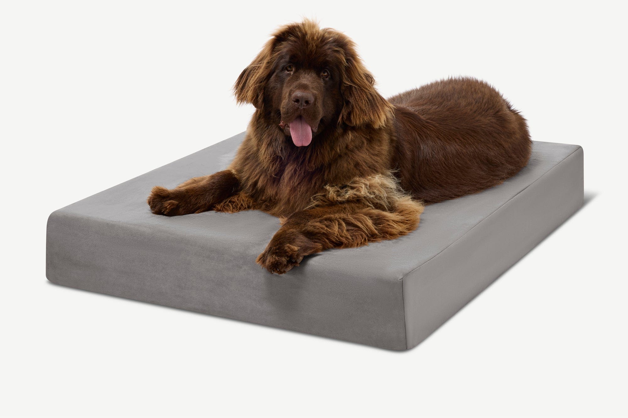 Original Orthopedic Dog Bed