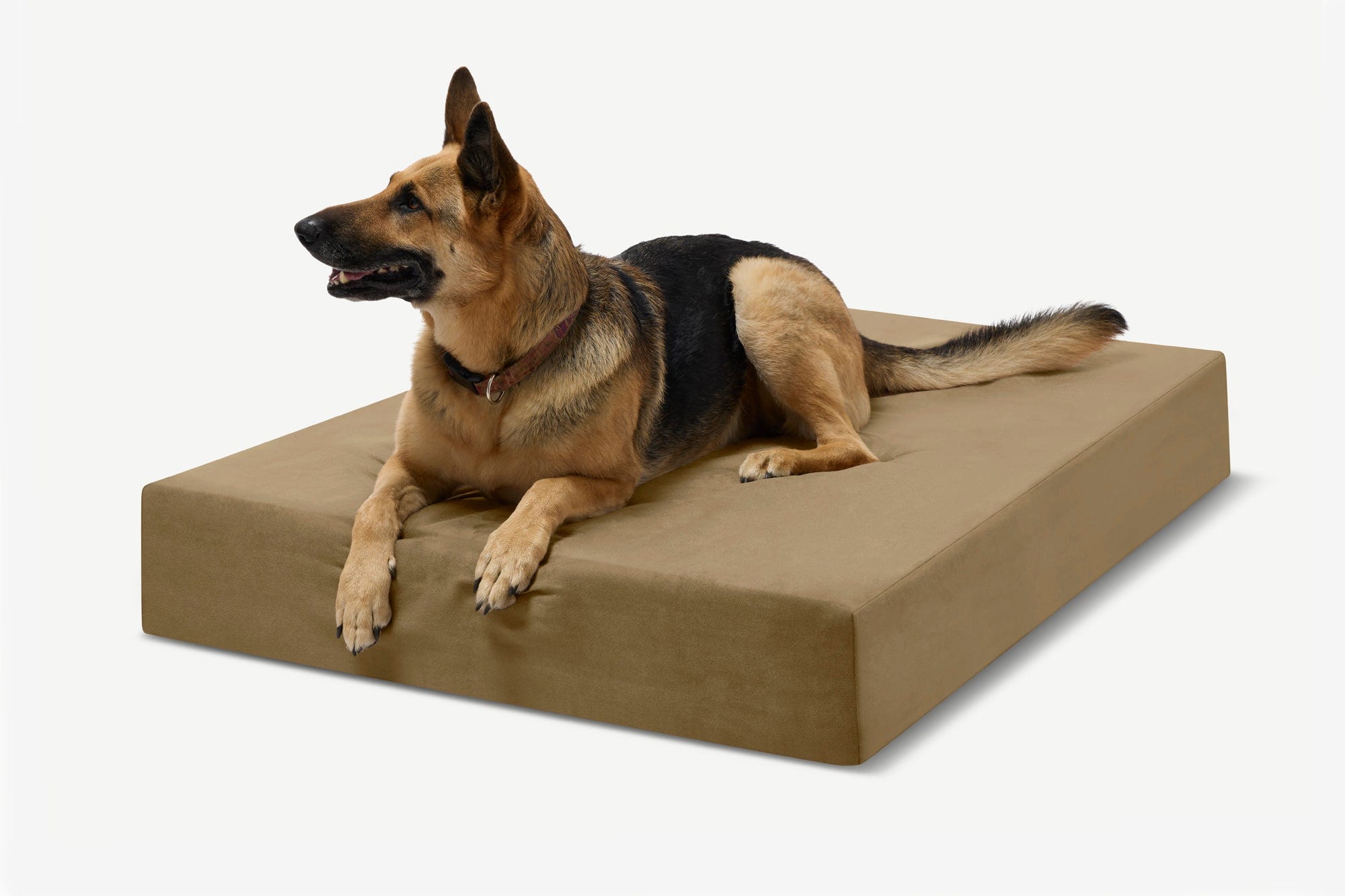 Original Orthopedic Dog Bed