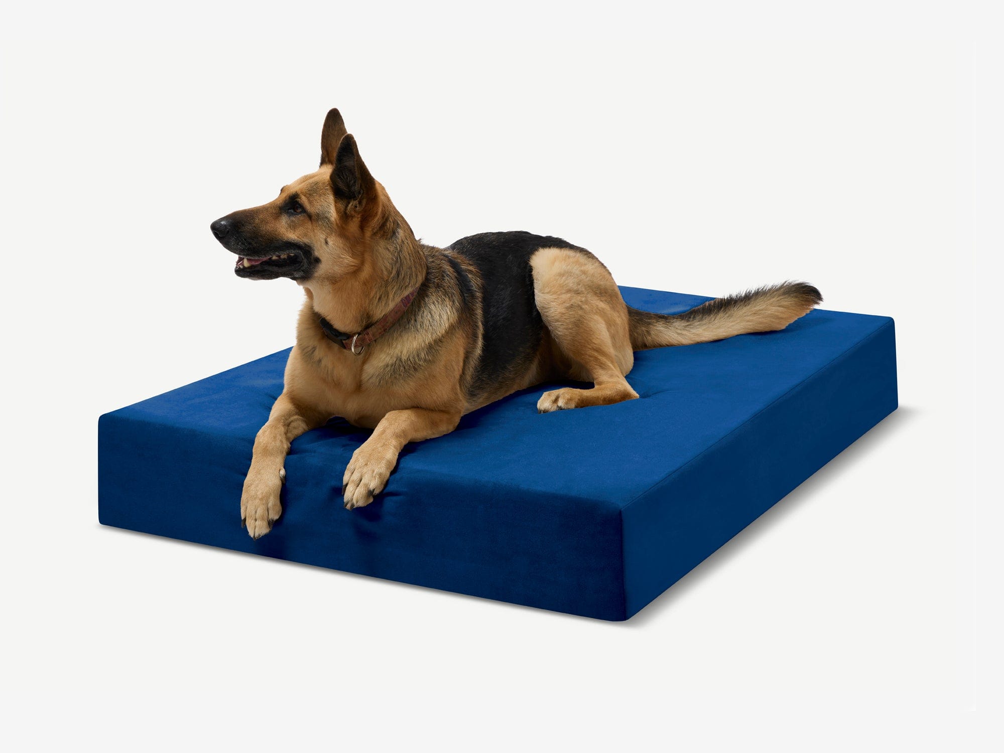 Original Orthopedic Dog Bed