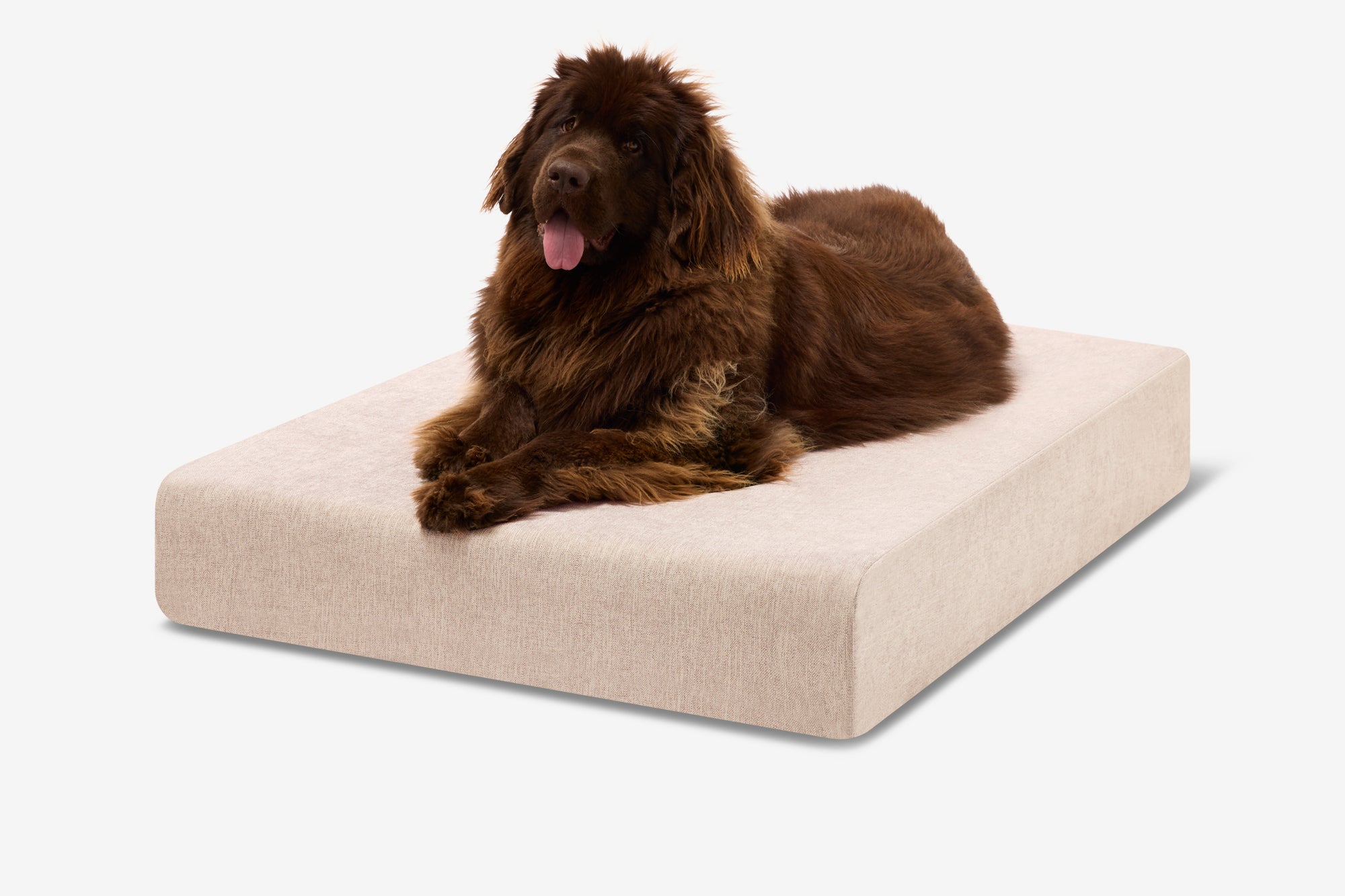 Original Orthopedic Dog Bed