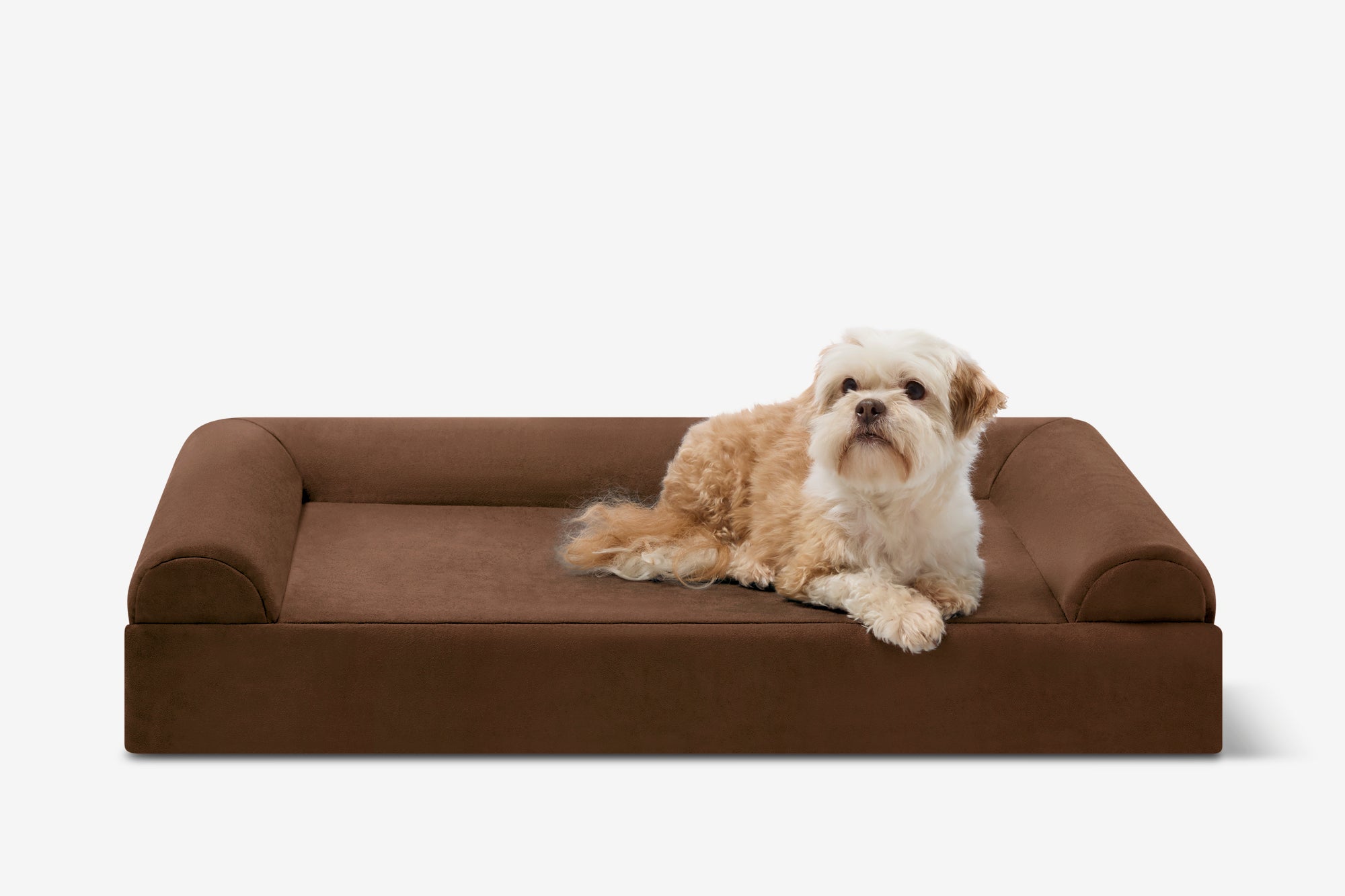 Junior Orthopedic Dog Bed