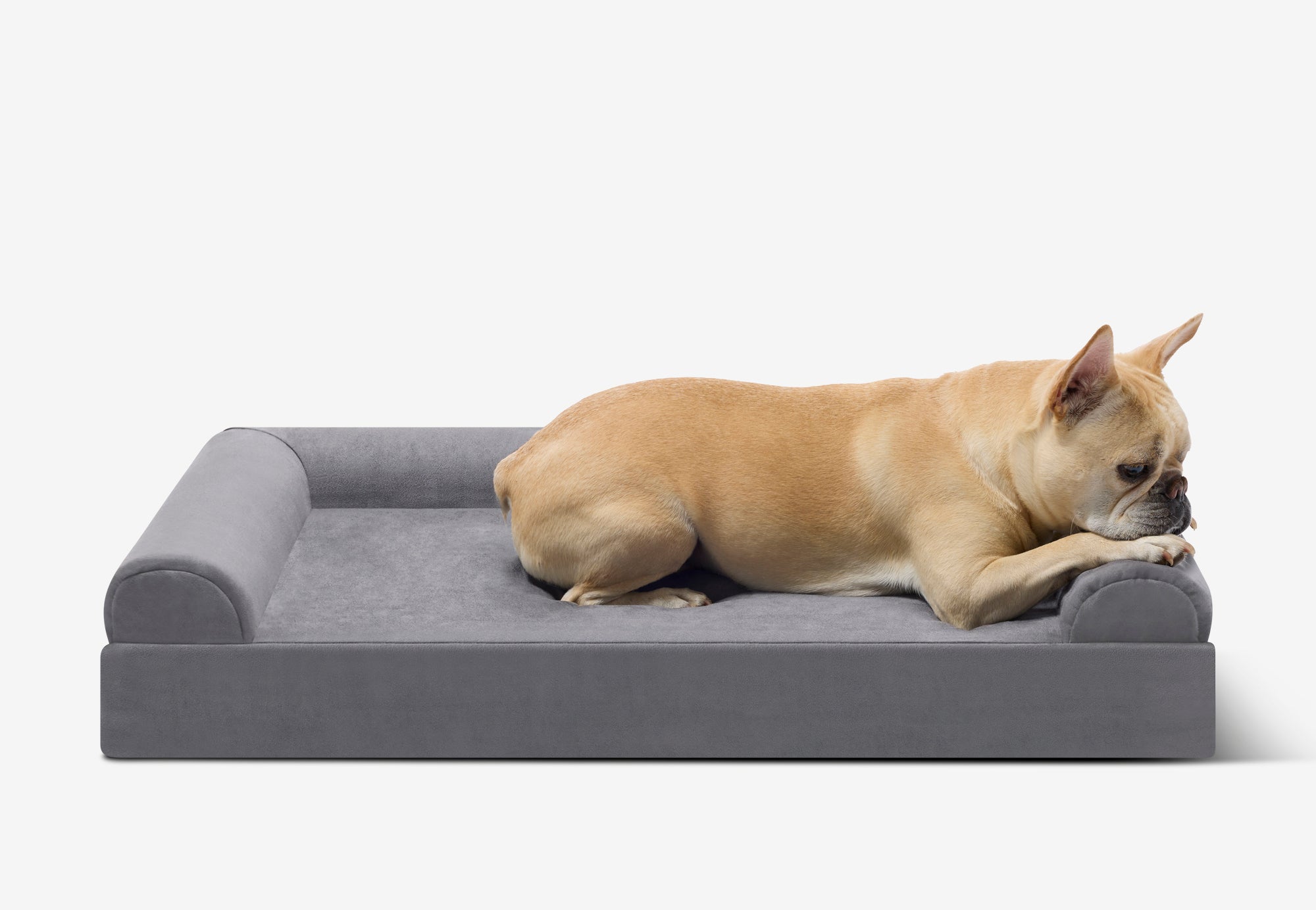 Junior Orthopedic Dog Bed