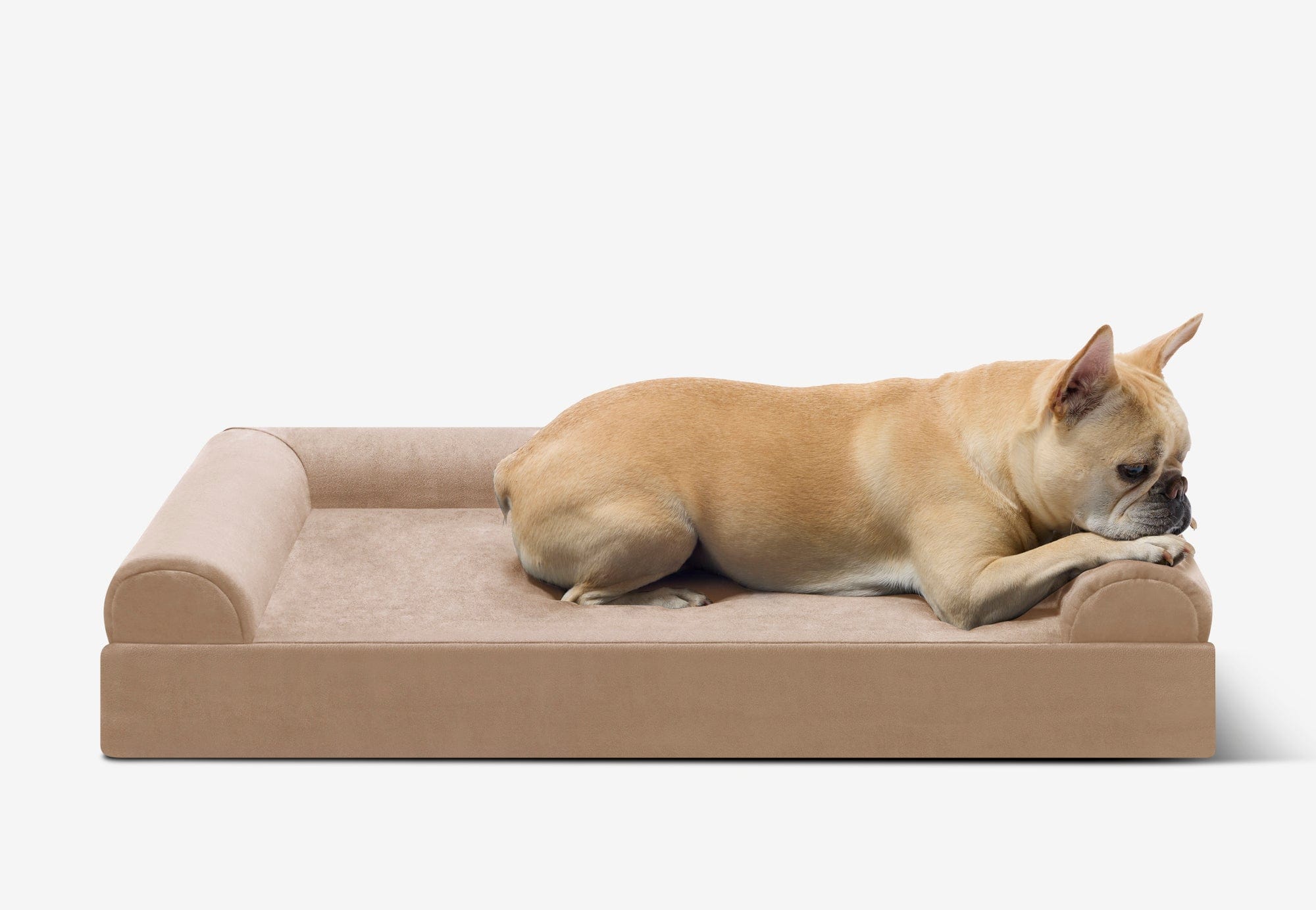 Junior Orthopedic Dog Bed