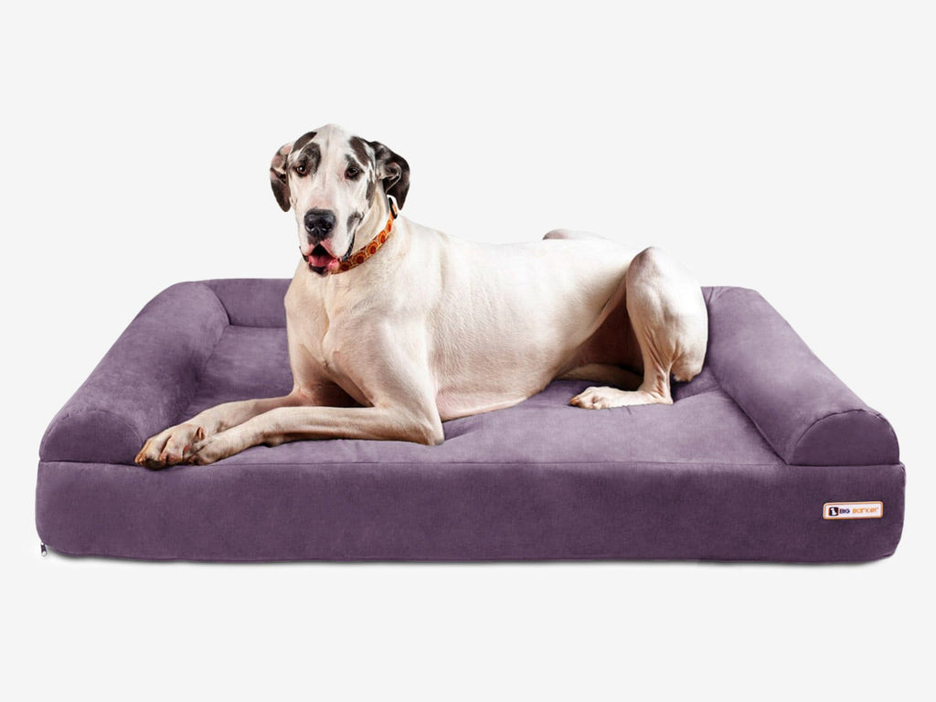 Original Orthopedic Dog Bed