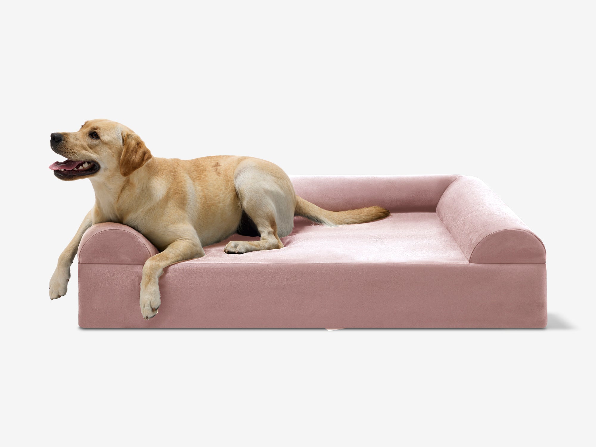 Cover | Original Bed — Limited Edition Colors