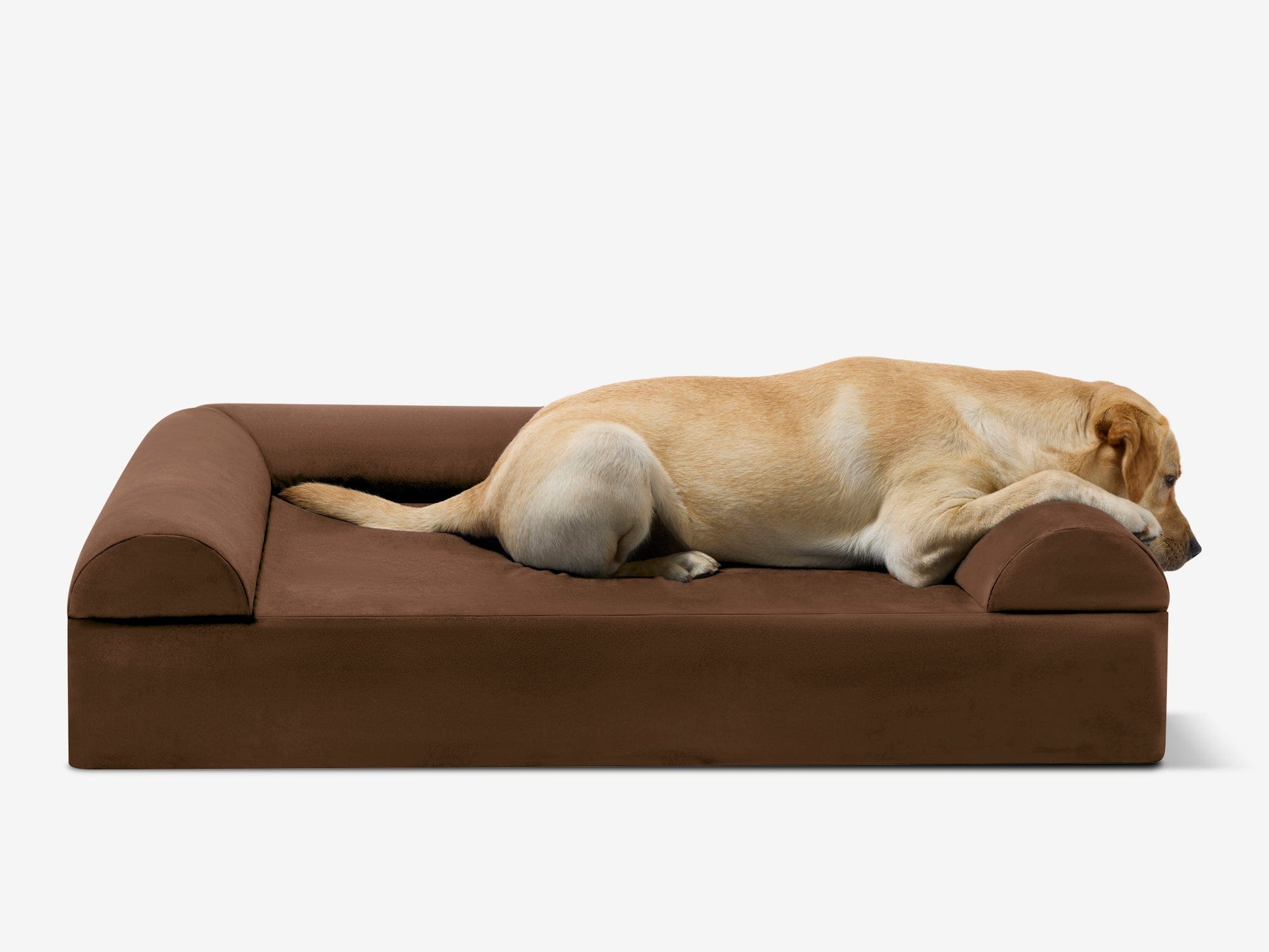 Original Orthopedic Dog Bed