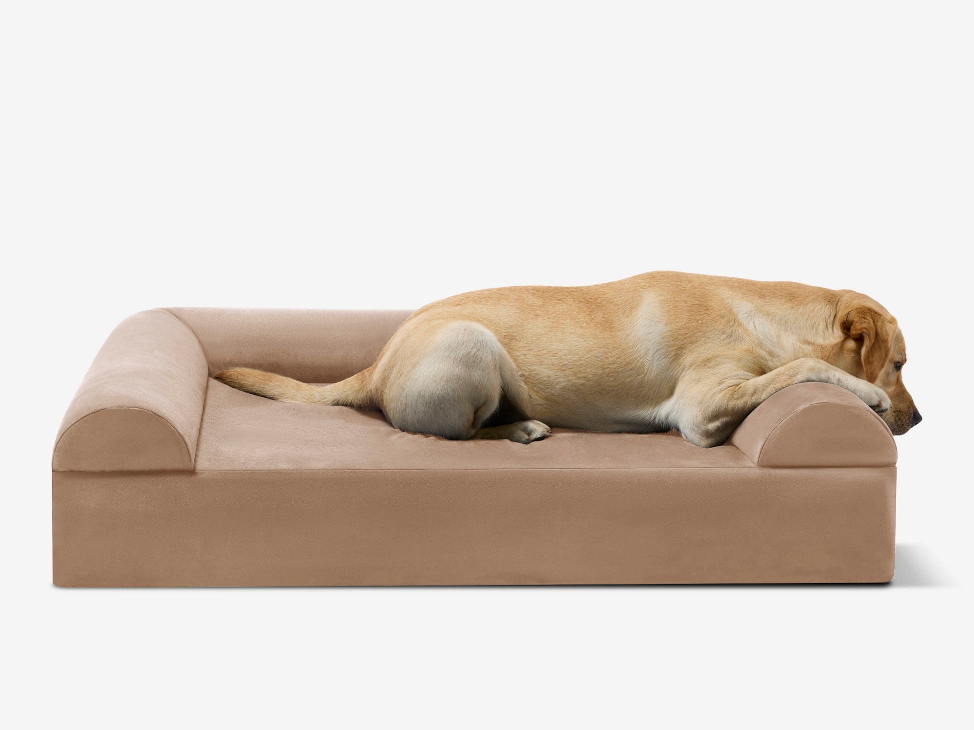 Original Orthopedic Dog Bed
