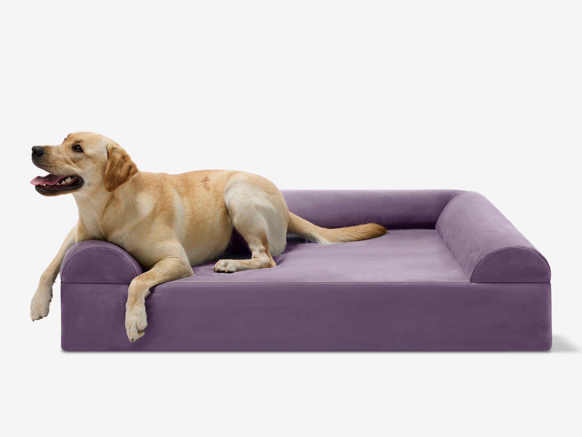 Original Orthopedic Dog Bed