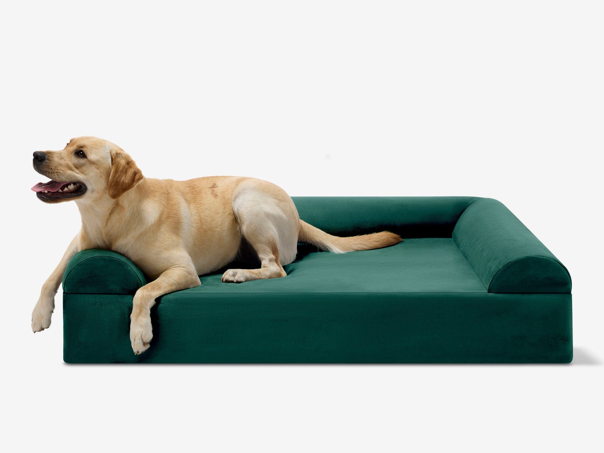 Original Orthopedic Dog Bed