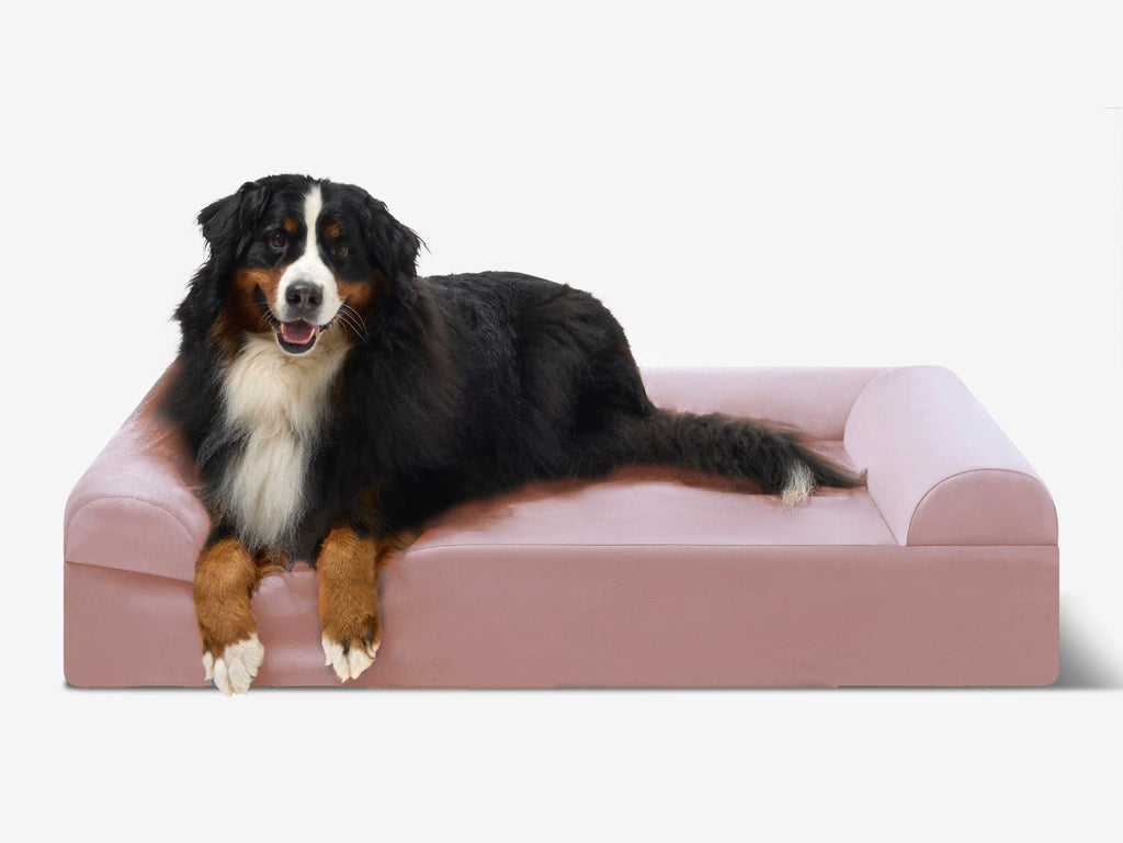 Cover | Original Bed — Limited Edition Colors