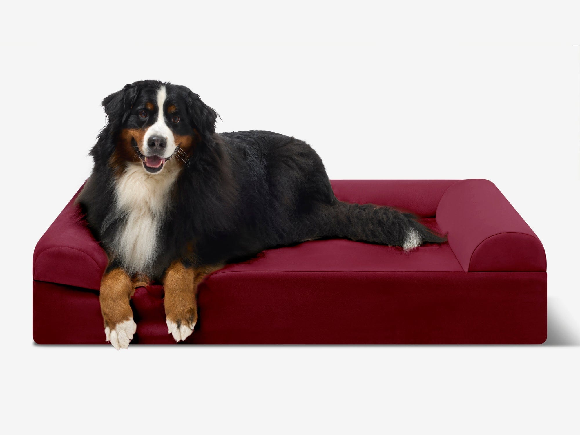 Original Orthopedic Dog Bed