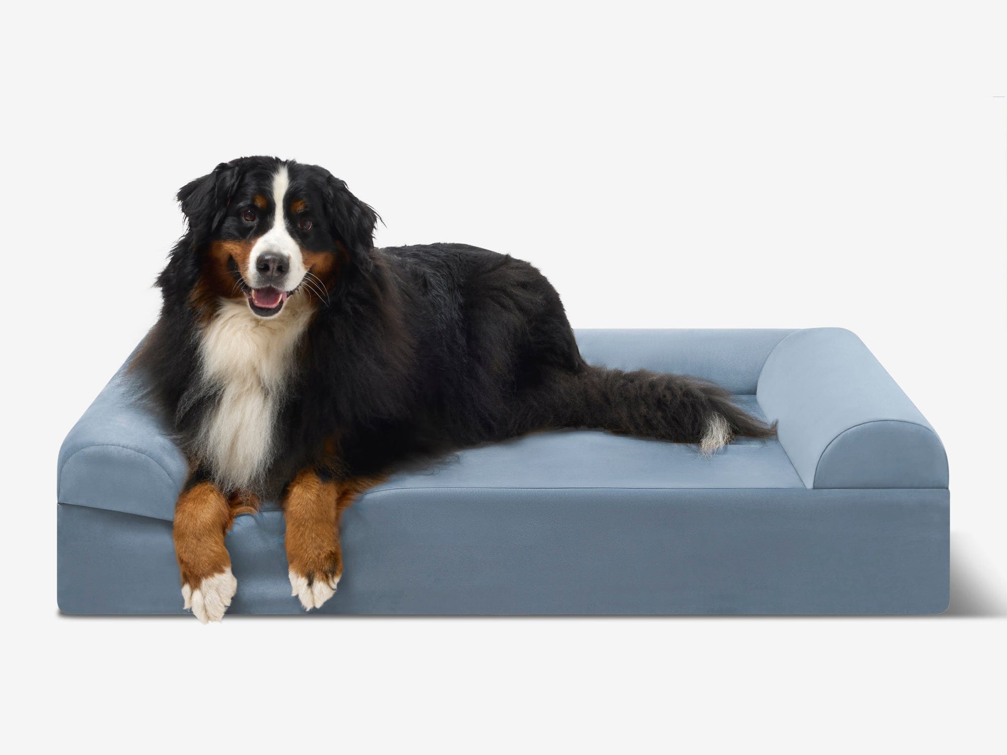 Original Orthopedic Dog Bed