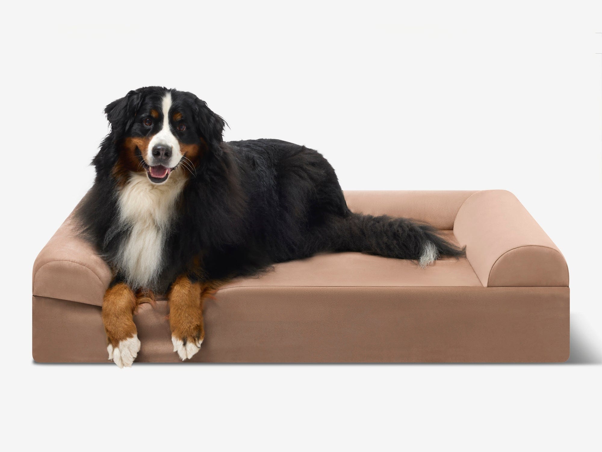 Original Orthopedic Dog Bed