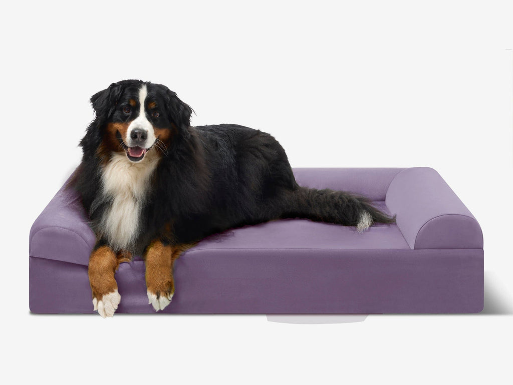 Original Orthopedic Dog Bed