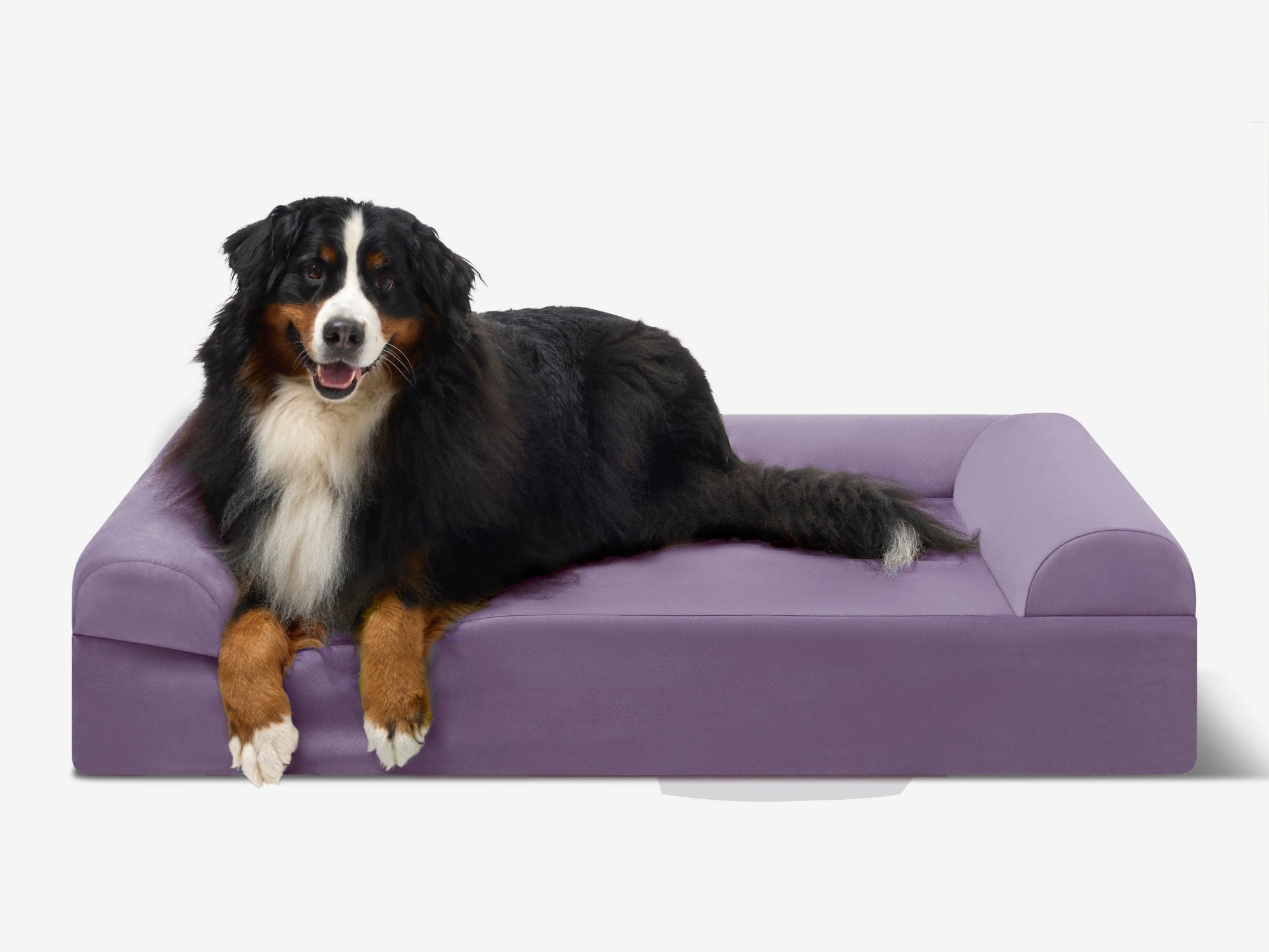 Original Orthopedic Dog Bed