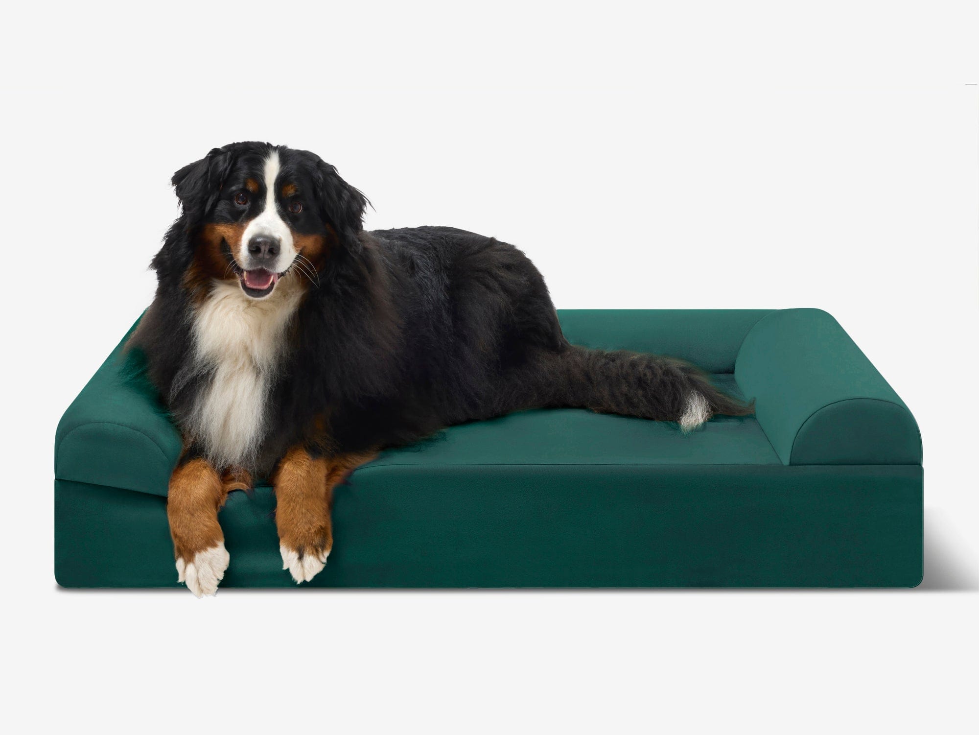 Cover | Original Bed