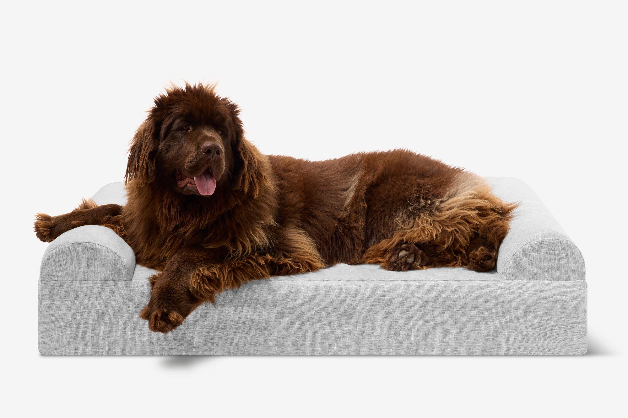 Original Orthopedic Dog Bed