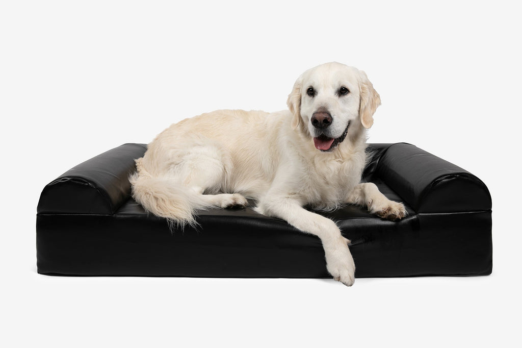 Original Orthopedic Dog Bed