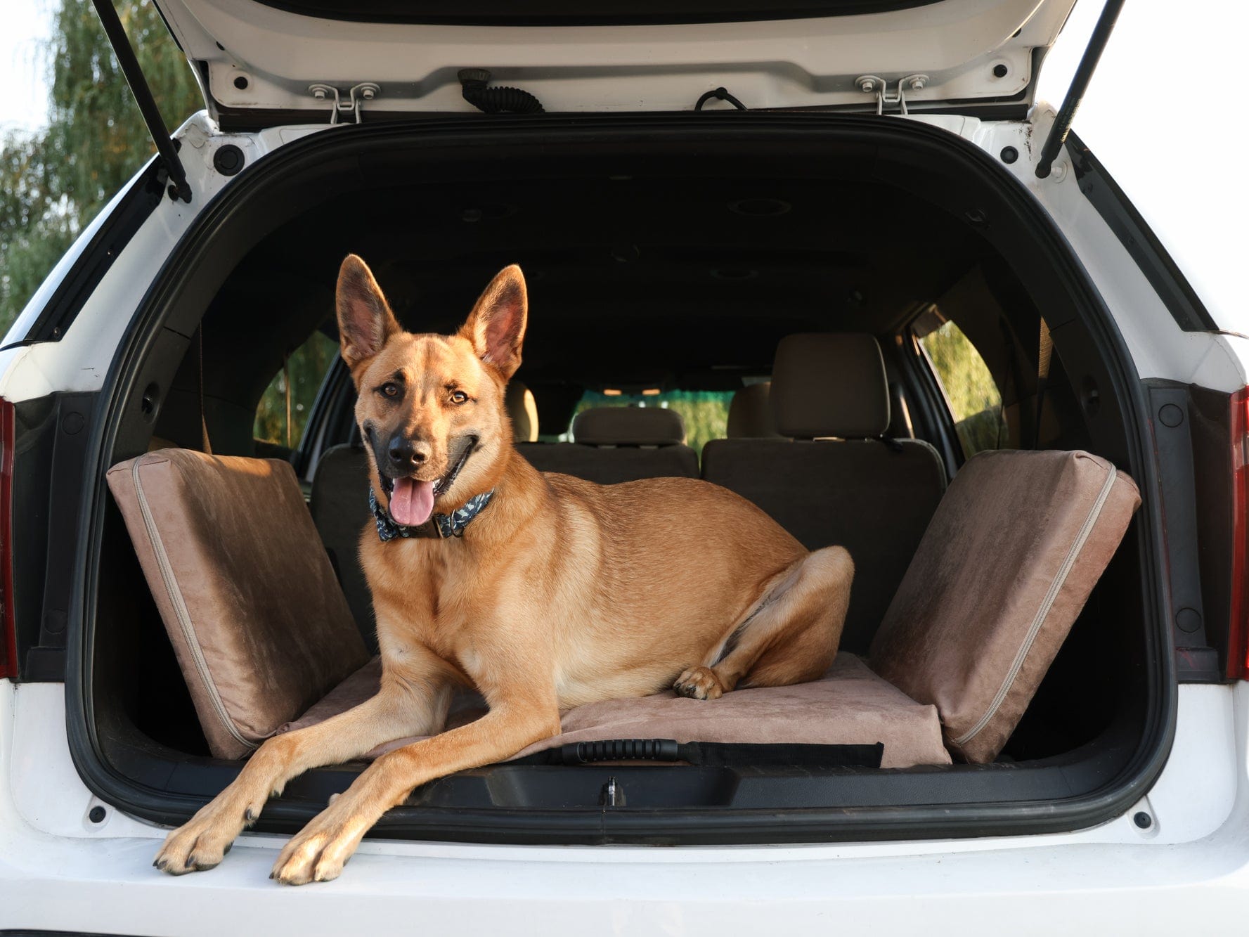 Fold-N-Go Travel Dog Bed